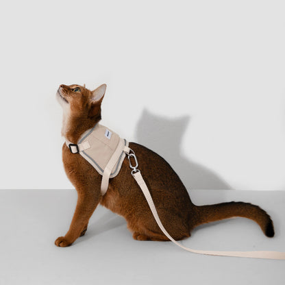 Conjunto de Arnês Estilo Colete para Gato com Bolso para Localizador