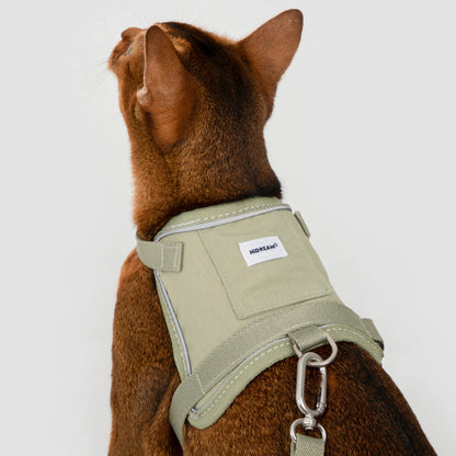 Conjunto de Arnês Estilo Colete para Gato com Bolso para Localizador