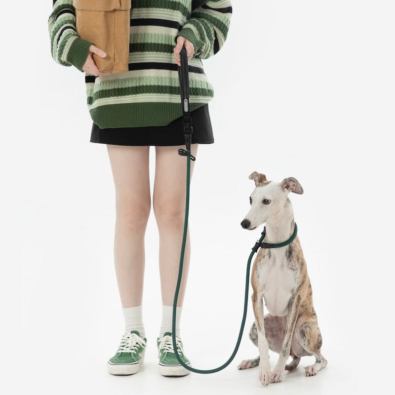 Trela de Treino Antiescapadelas para Cães