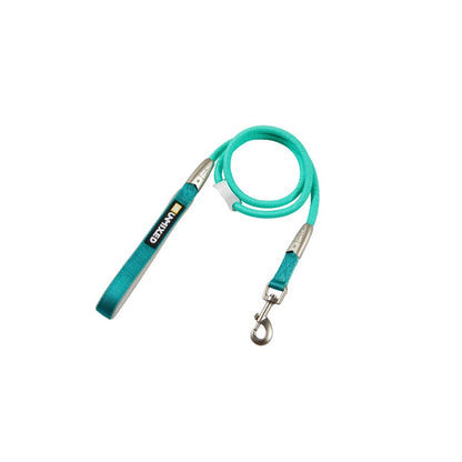 Neon Paws Adjustable Dog Leash