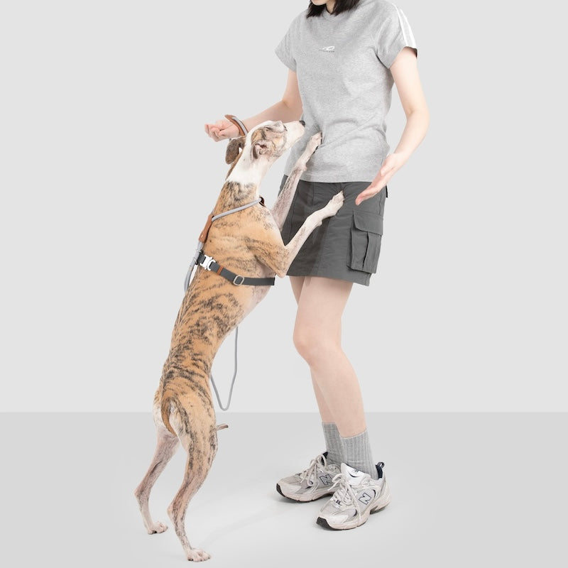 Adjustable Dog Harness & Round Rope Leash Set
