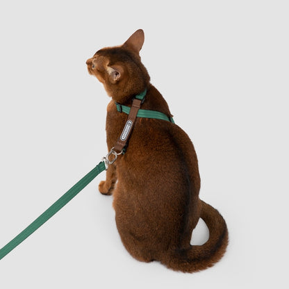 Multi-Way Wear Choke-Free Cat Harness Set
