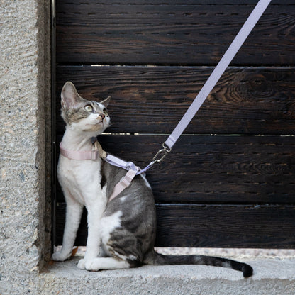 Conjunto de Arnês para Gato Leve em H