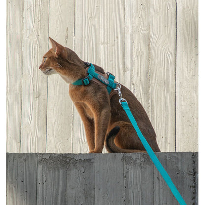 H-Shaped PU Leather Cat Harness Set