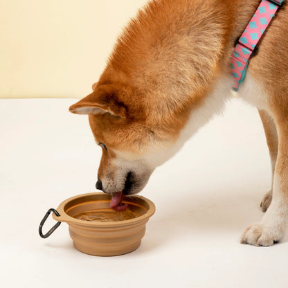 Food-Grade Silicone Collapsible Pet Travel Bowl