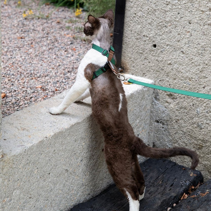 Multi-Way Wear Choke-Free Cat Harness Set