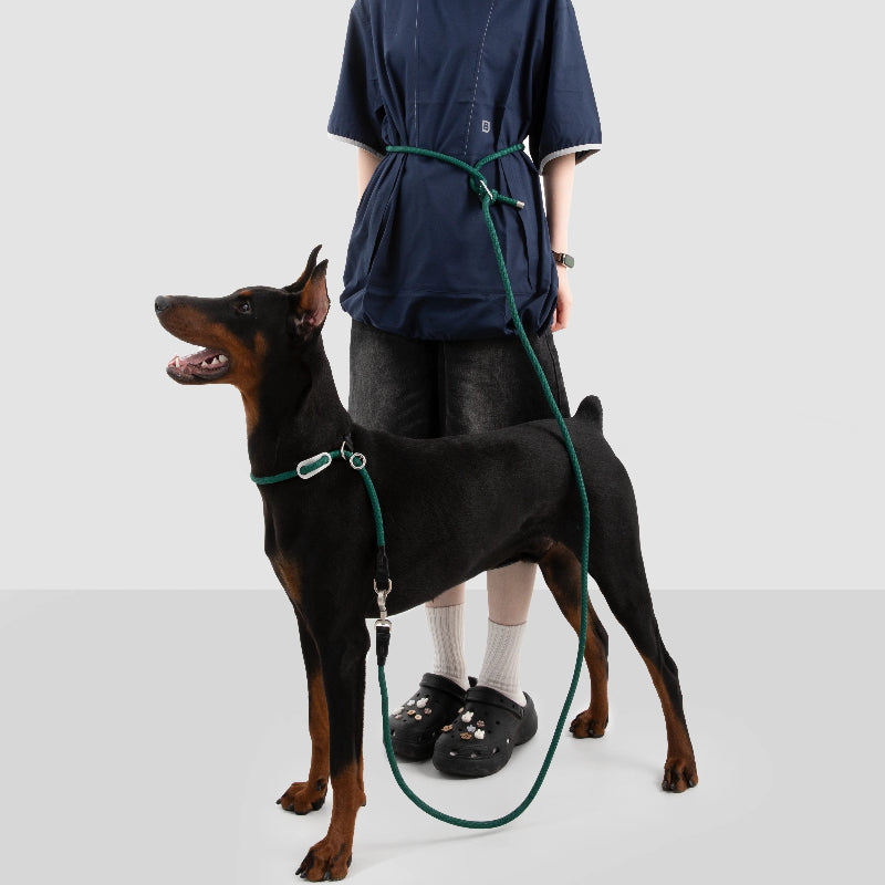Limited-Slip Half-Check Dog Collar & Hands-Free Training Leash