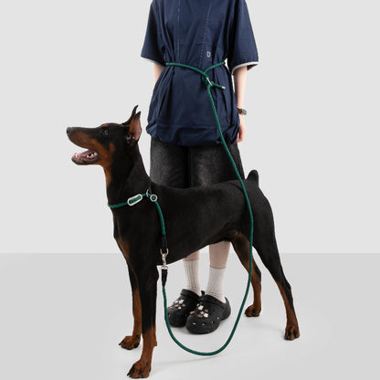 Limited-Slip Half-Check Dog Collar & Hands-Free Training Leash