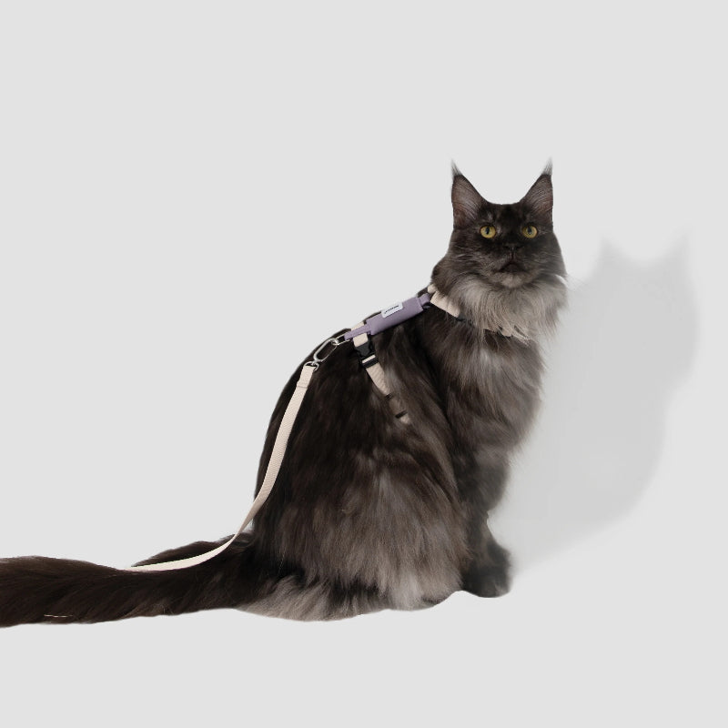 H-Shape Cat Harness Set