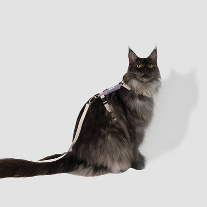 H-Shape Cat Harness Set