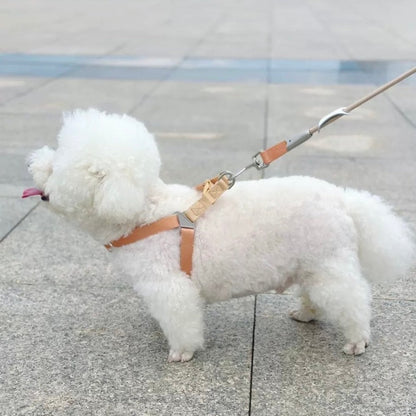 Neon Paws Adjustable Dog Harness