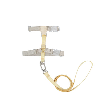 Conjunto de Arnês para Gato Leve em H