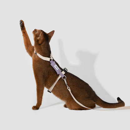H-Shape Cat Harness Set