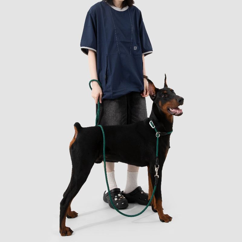 Limited-Slip Half-Check Dog Collar & Hands-Free Training Leash