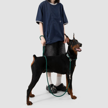 Limited-Slip Half-Check Dog Collar & Hands-Free Training Leash