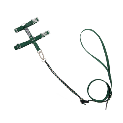Conjunto de Arnês Ultraleve para Gato em Forma de H