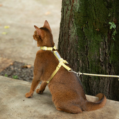Conjunto de Arnês Ultraleve para Gato em Forma de H
