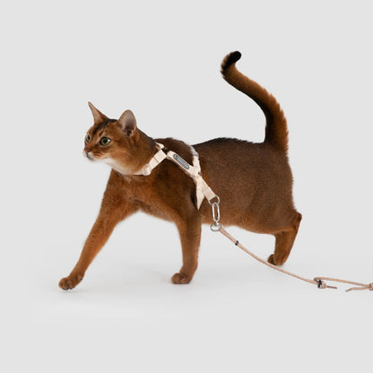 Conjunto de Arnês Ultraleve para Gato em Forma de H
