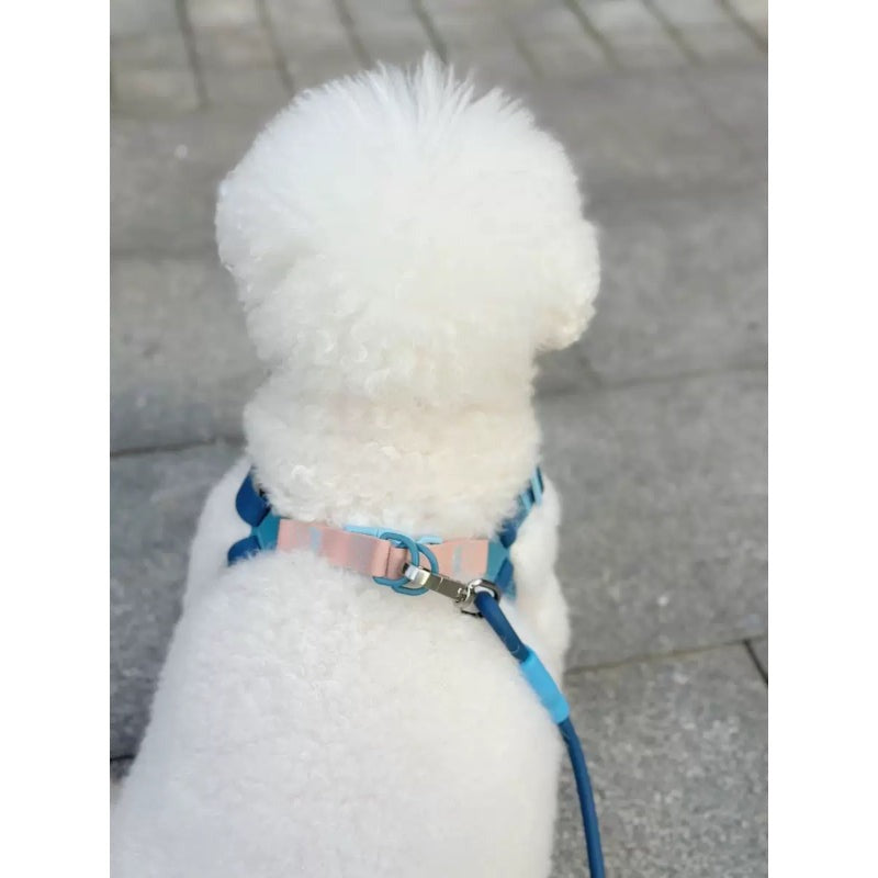 Peitoral Impermeável para Cão Neon Paws