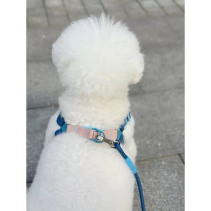 Peitoral Impermeável para Cão Neon Paws