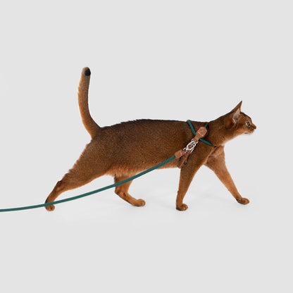 X-Shaped Lightweight Cat Harness Set