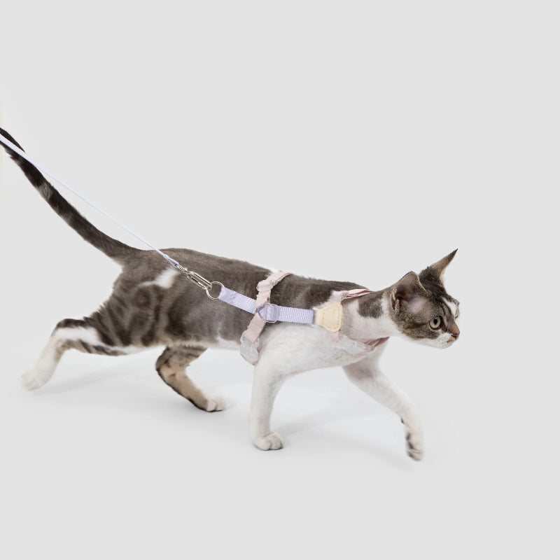 Conjunto de Arnês para Gato Leve em H