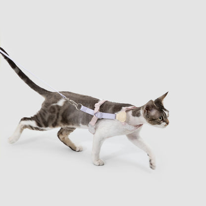 Conjunto de Arnês para Gato Leve em H
