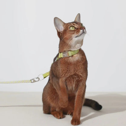 Conjunto de Arnês Ultraleve para Gato em Forma de H