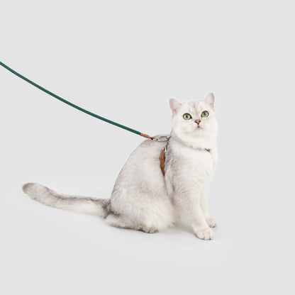 X-Shaped Lightweight Cat Harness Set
