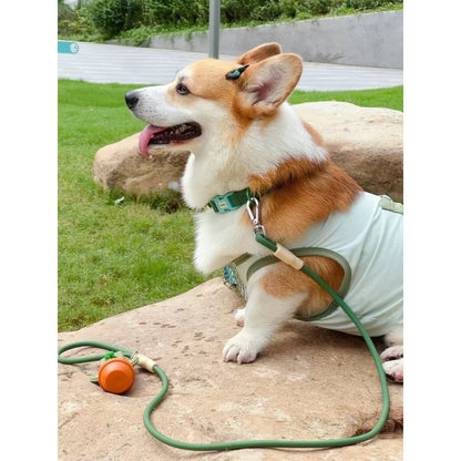 Neon Paws Waterproof Dog Collar