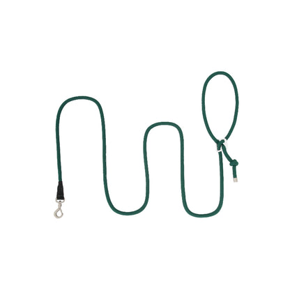Limited-Slip Half-Check Dog Collar & Hands-Free Training Leash