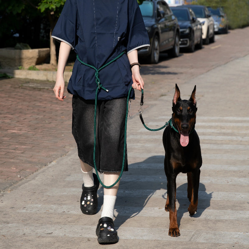 Limited-Slip Half-Check Dog Collar & Hands-Free Training Leash