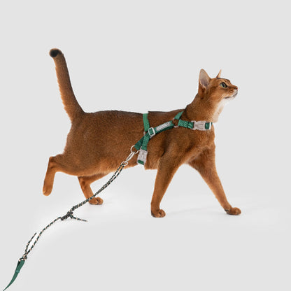 Conjunto de Arnês Ultraleve para Gato em Forma de H