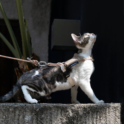 Conjunto de Arnês e Trela Mãos-Livres para Gato em Bombazina