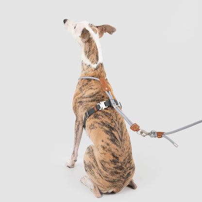 Adjustable Dog Harness & Round Rope Leash Set