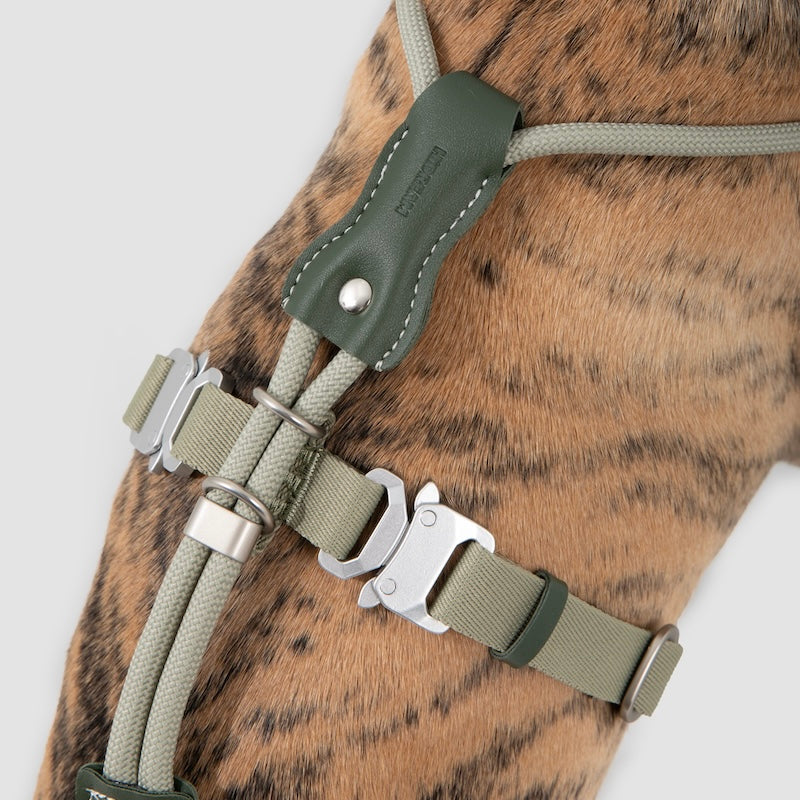 Adjustable Dog Harness & Round Rope Leash Set
