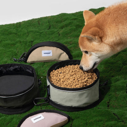 Collapsible Portable Pet Travel Bowl - 1000ml