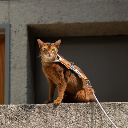 H-Shaped Cat Harness Set