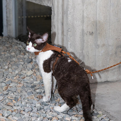Conjunto de Arnês e Trela Mãos-Livres para Gato em Bombazina