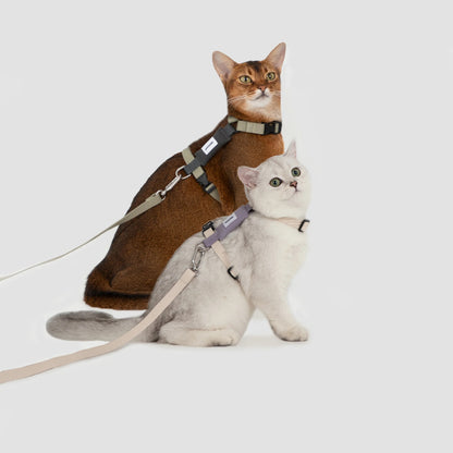 H-Shape Cat Harness Set