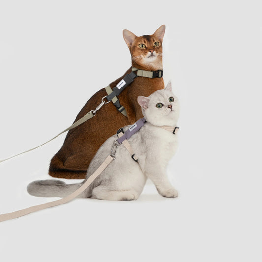 H-Shape Cat Harness Set