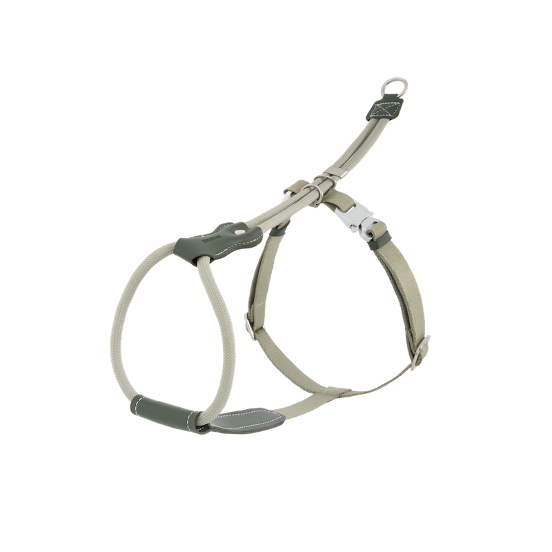 Adjustable Dog Harness & Round Rope Leash Set