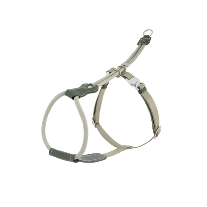 Adjustable Dog Harness & Round Rope Leash Set