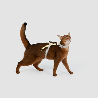 Conjunto de Arnês para Gato Leve em H