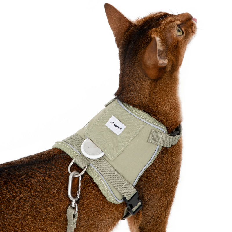 Conjunto de Arnês Estilo Colete para Gato com Bolso para Localizador