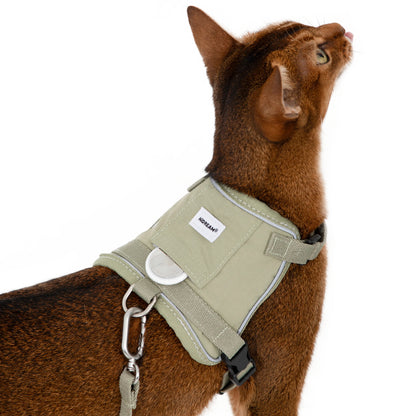 Conjunto de Arnês Estilo Colete para Gato com Bolso para Localizador