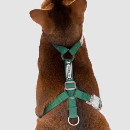 Conjunto de Arnês Ultraleve para Gato em Forma de H