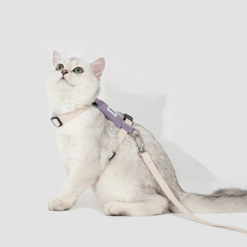 H-Shape Cat Harness Set