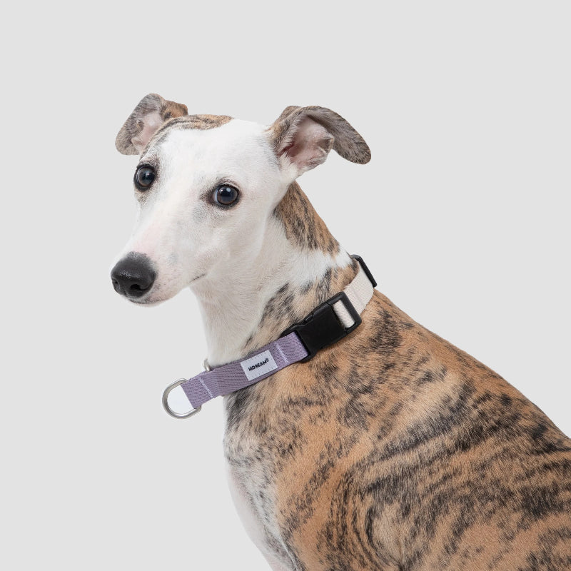 Coleira de Galgo Anti-Puxão Meia-Escorrega