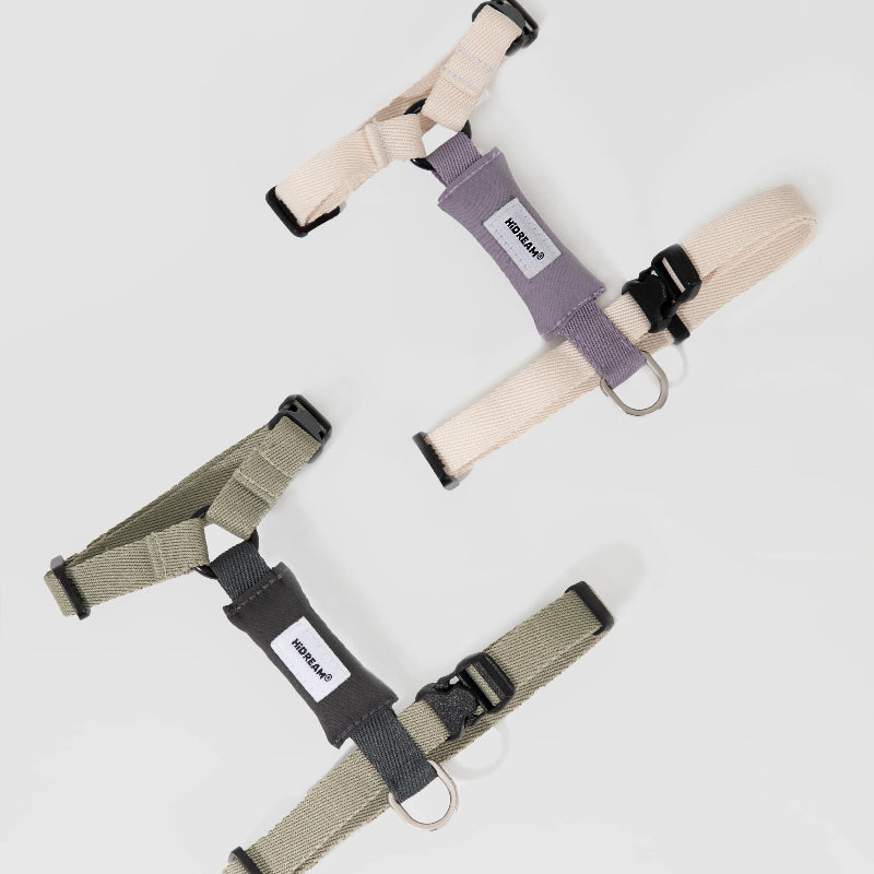 H-Shape Cat Harness Set
